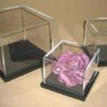 AcrylicCases